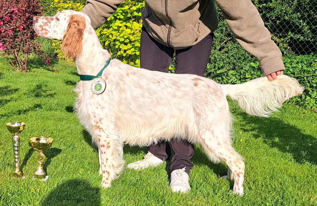 Amaretto alle Noci Badecri