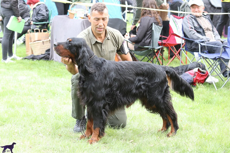 BRITT Z DVORKU ČAMOURKU