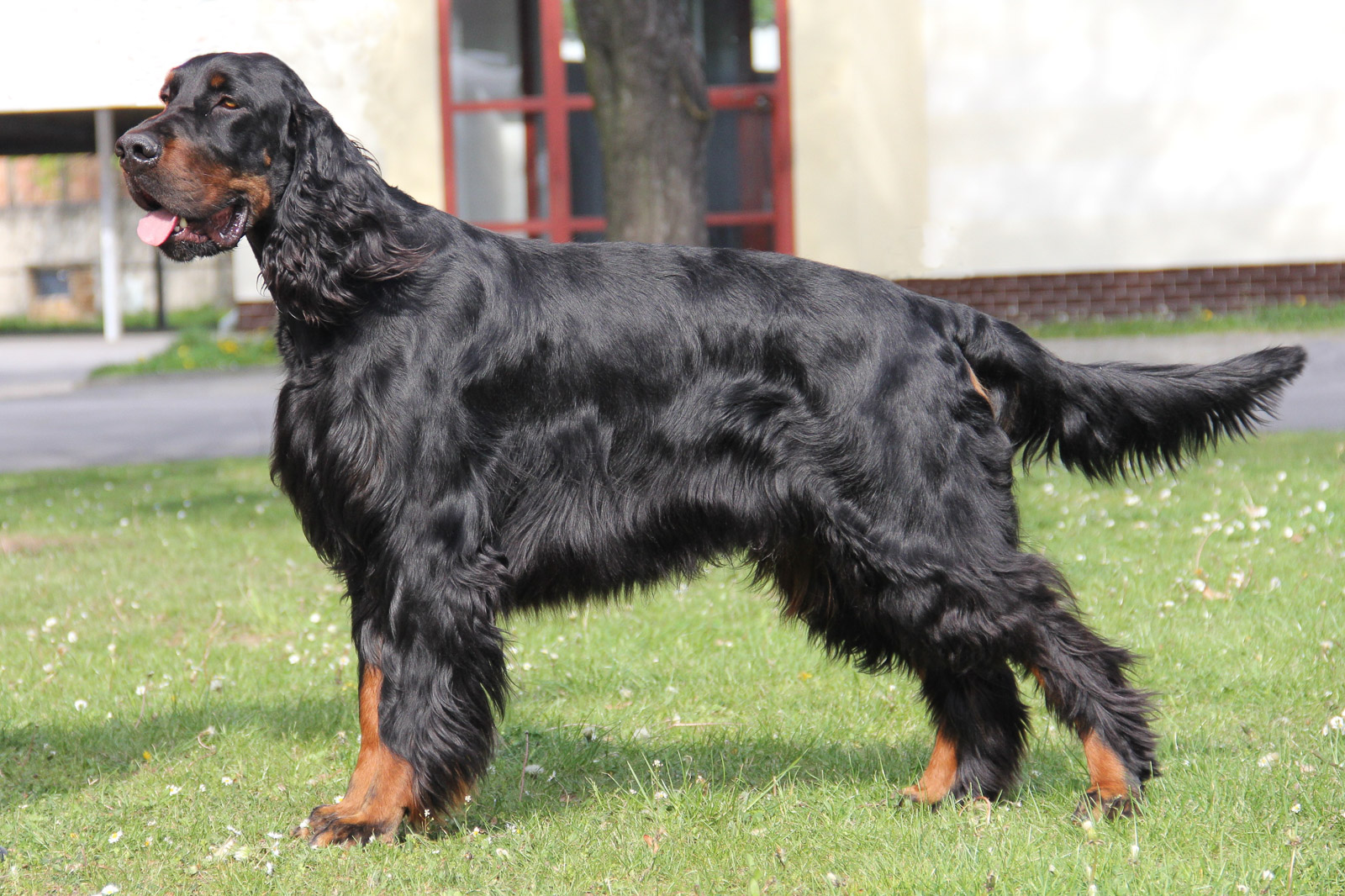 ZIR Z HOLUBICKÉ STRÁNĚ