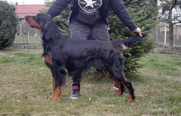 ASTANA Z HOLUBICKÉ STRÁNĚ