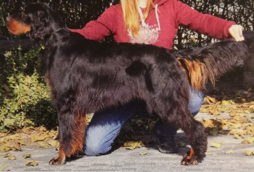 SCOT Z SCOTCH DAMA KRKONOŠE