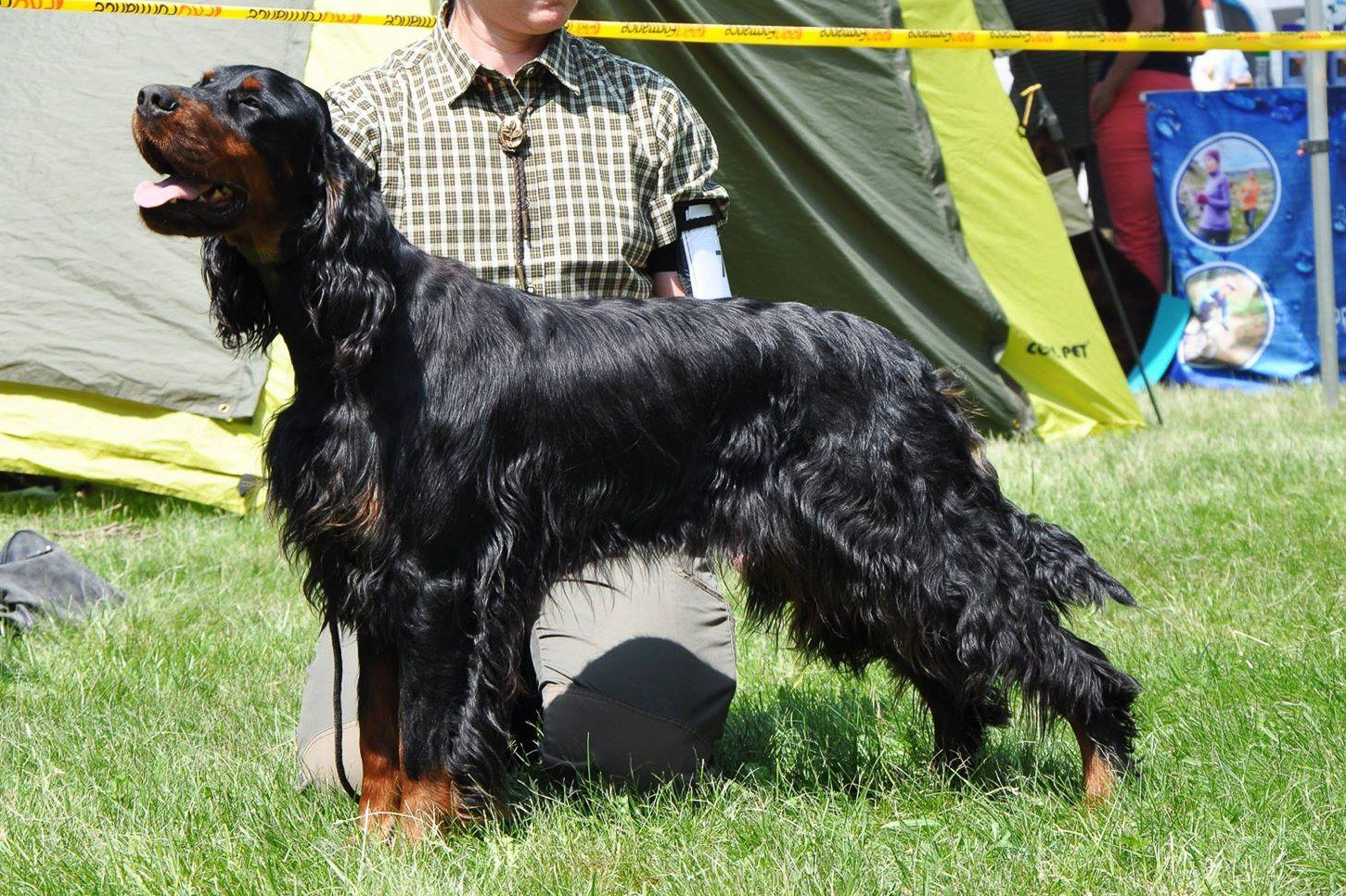 ELZA Z DVORKU ČAMOURKU