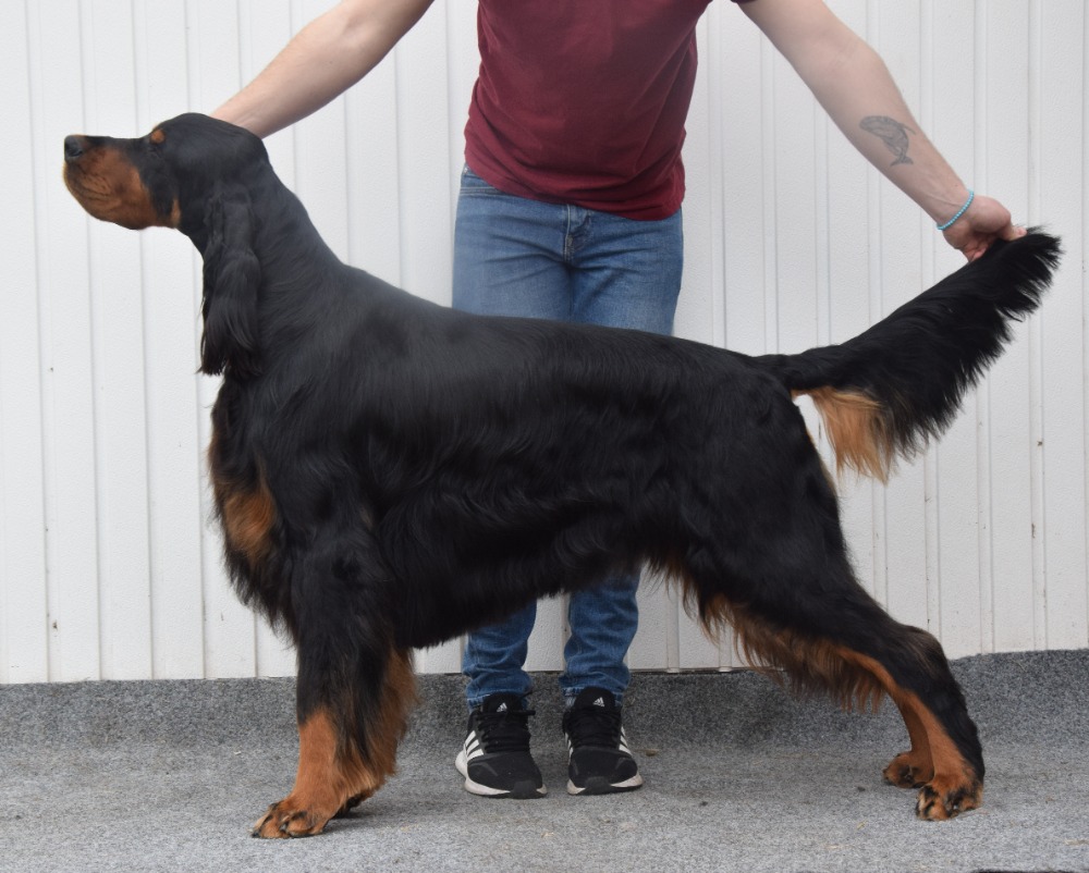 CROCCO SCOTCH DO POLE