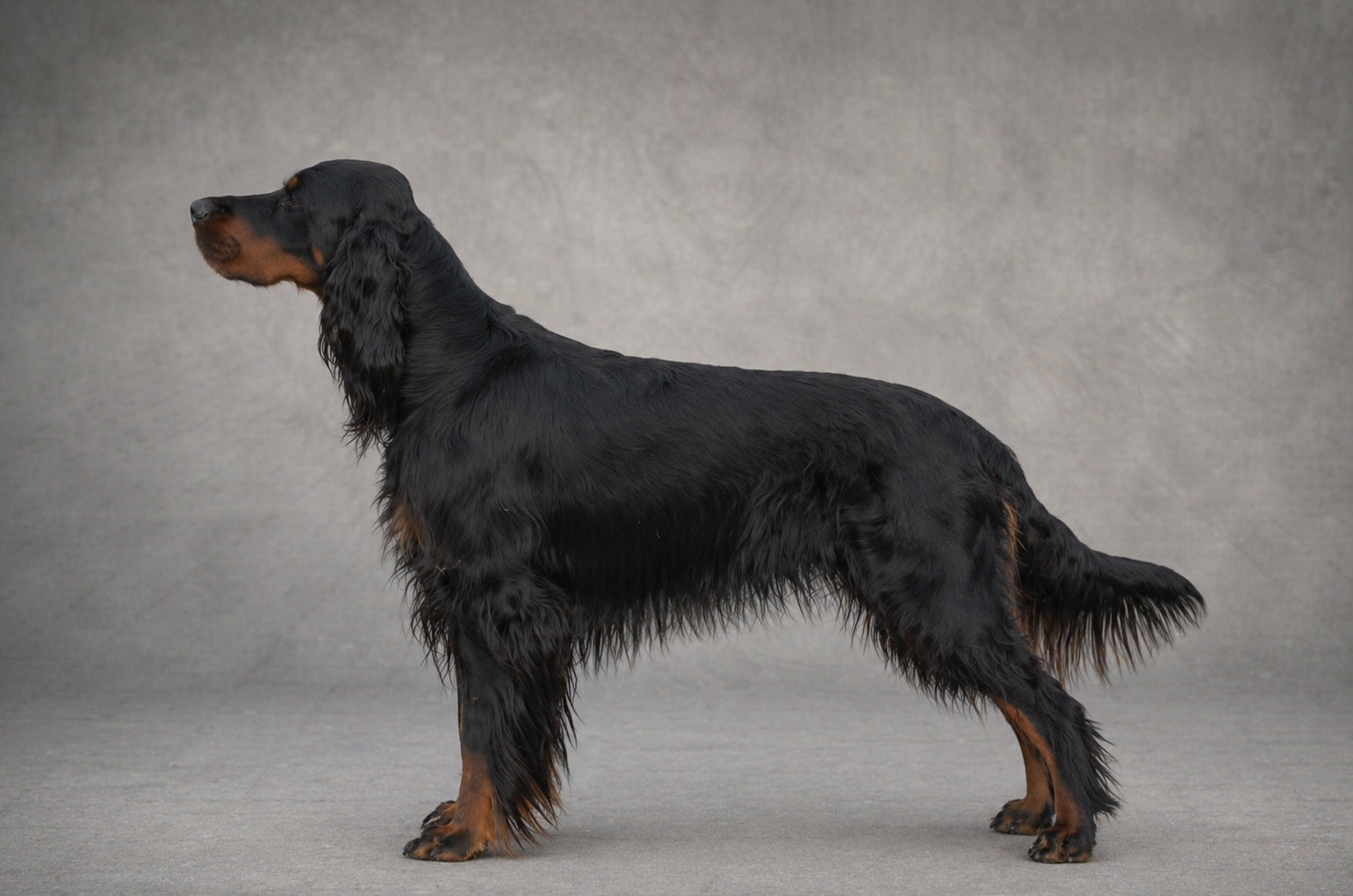 ISLA OF SKYE Z WENYTRY